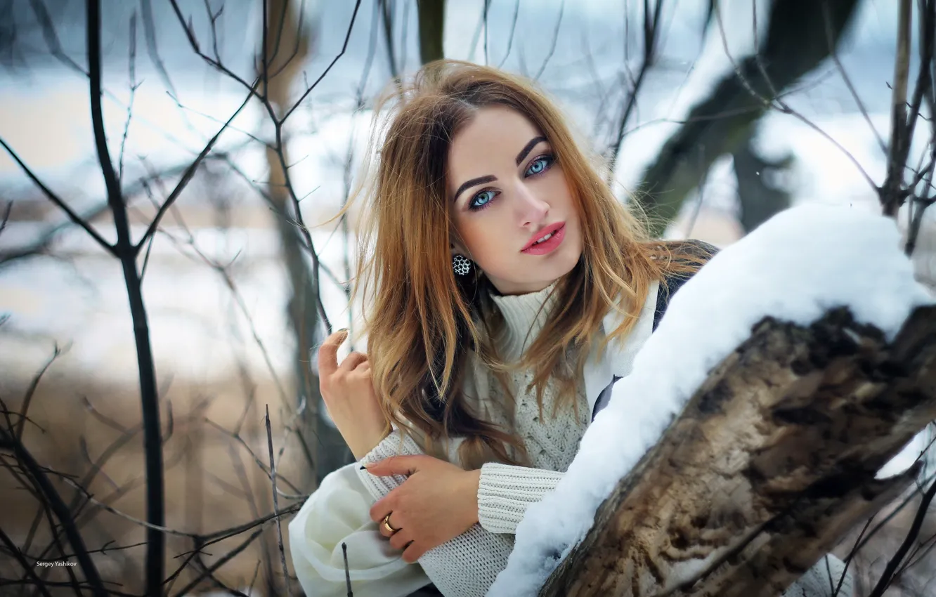 Фото обои взгляд, девушка, снег, ветки, лицо, поза, дерево, волосы