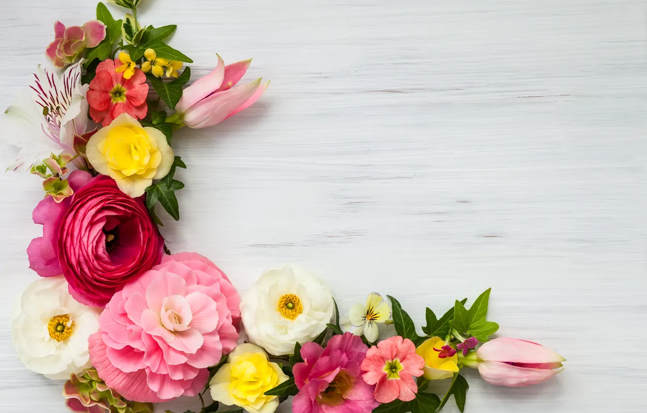 Фото обои цветы, pink, flowers, beautiful, композиция, frame, floral