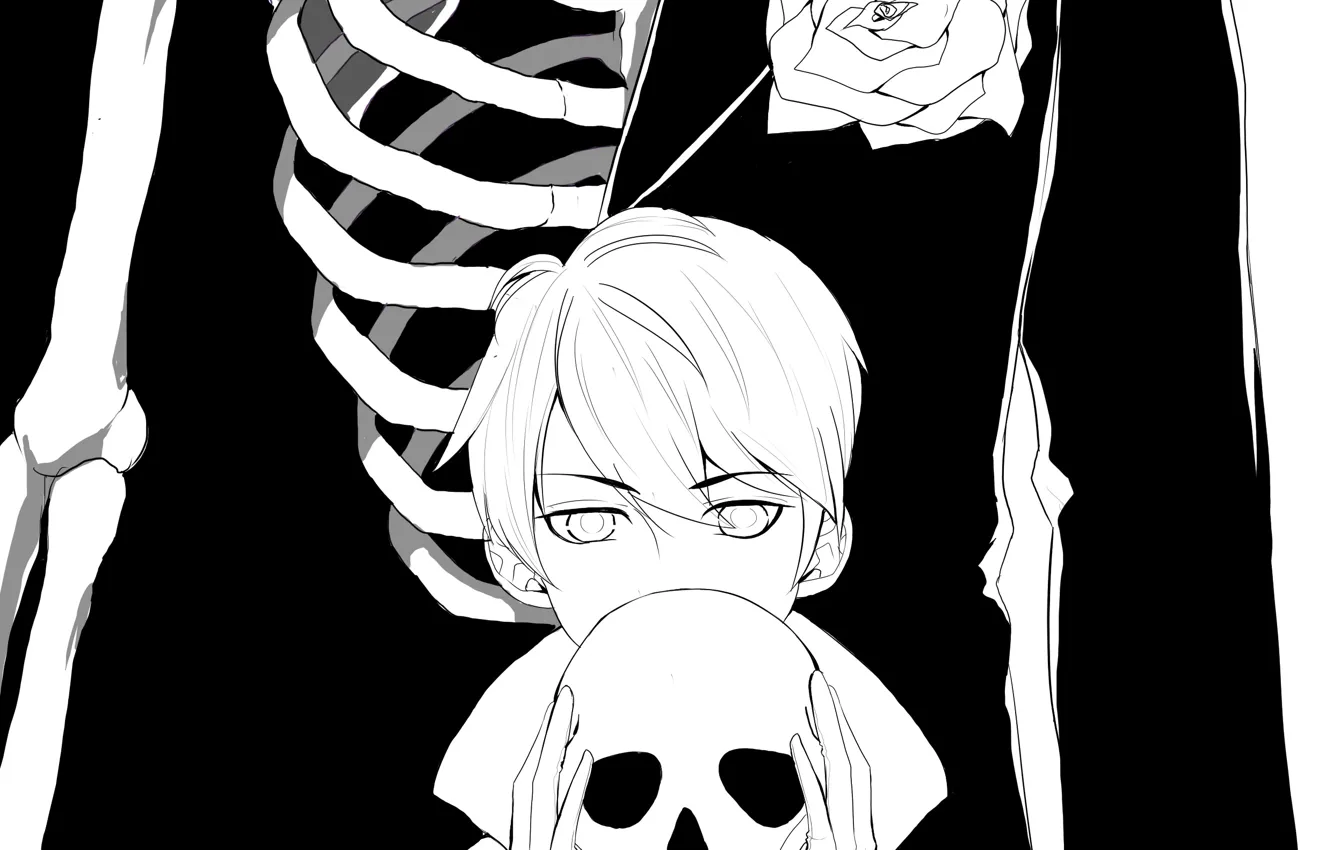Фото обои роза, череп, арт, скелет, парень, монохромная, by reinebeamme