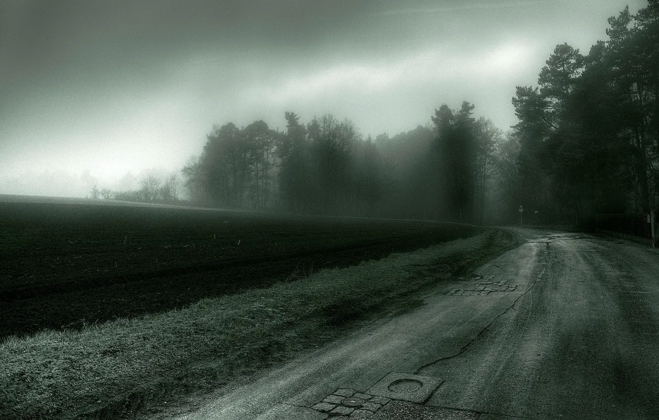 Фото обои дорога, поле, деревья, мрак