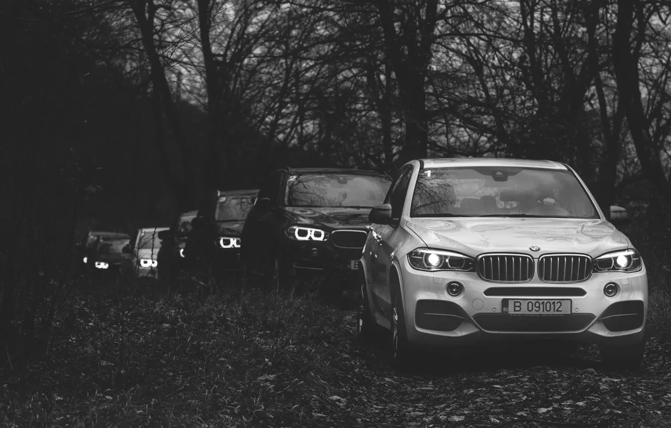 Фото обои лес, BMW, БМВ, New, джипы