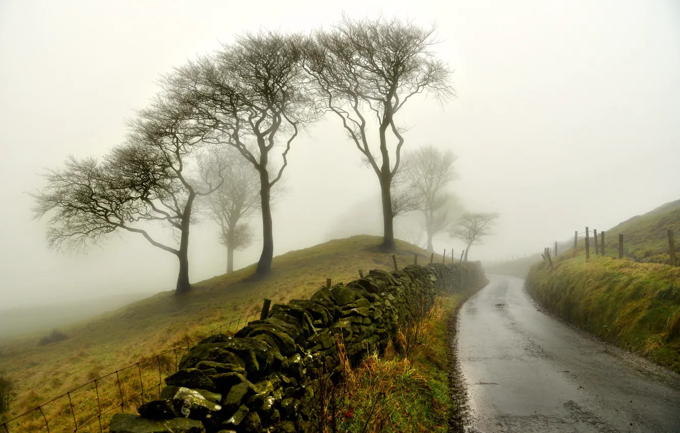 Фото обои дорога, туман, забор