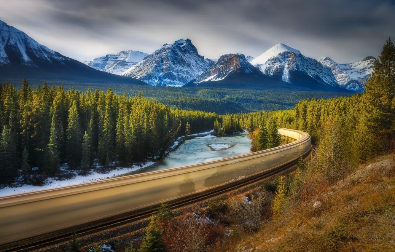 Фото обои лес, поезд, выдержка, Канада, Альберта