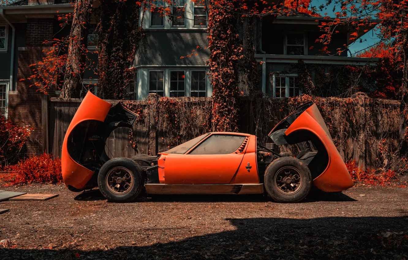 Фото обои Цвет, Авто, Lamborghini, Пыль, Машина, Оранжевый, 1971, Автомобиль