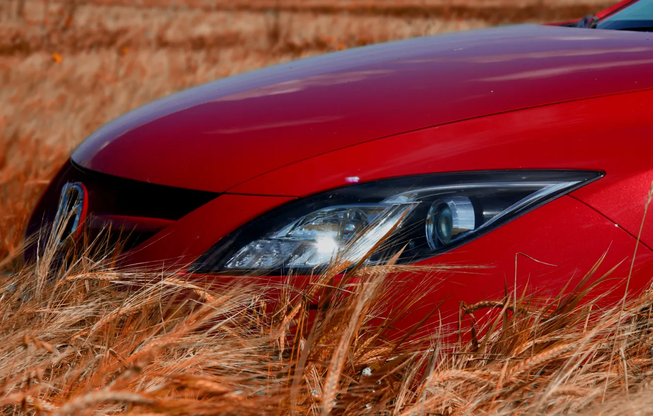 Фото обои Красная, Колосья, Фары, Mazda 6