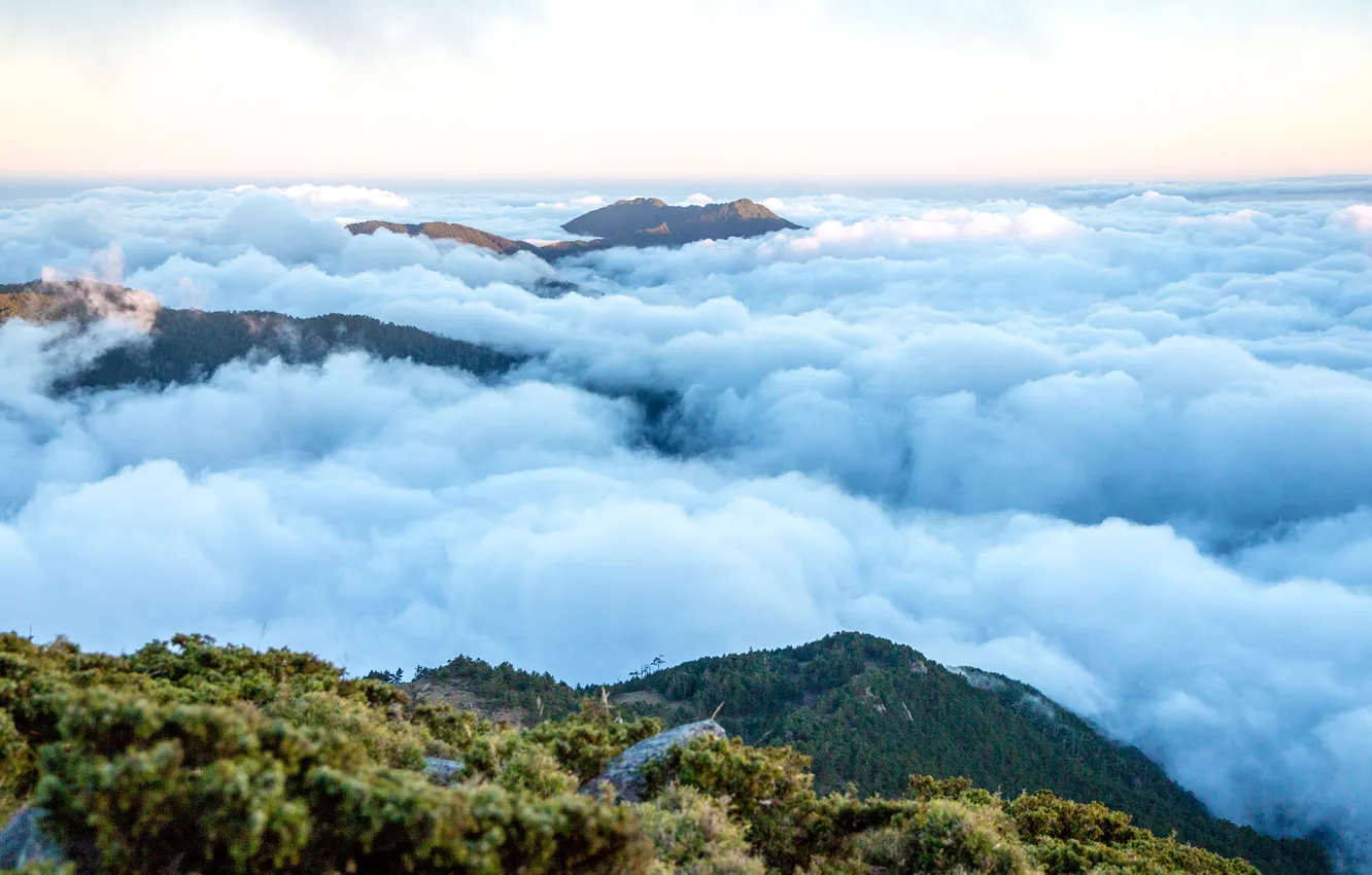 Фото обои grass, landscape, nature, mountains, clouds, Taiwan, mountain view, Mount Hehuan