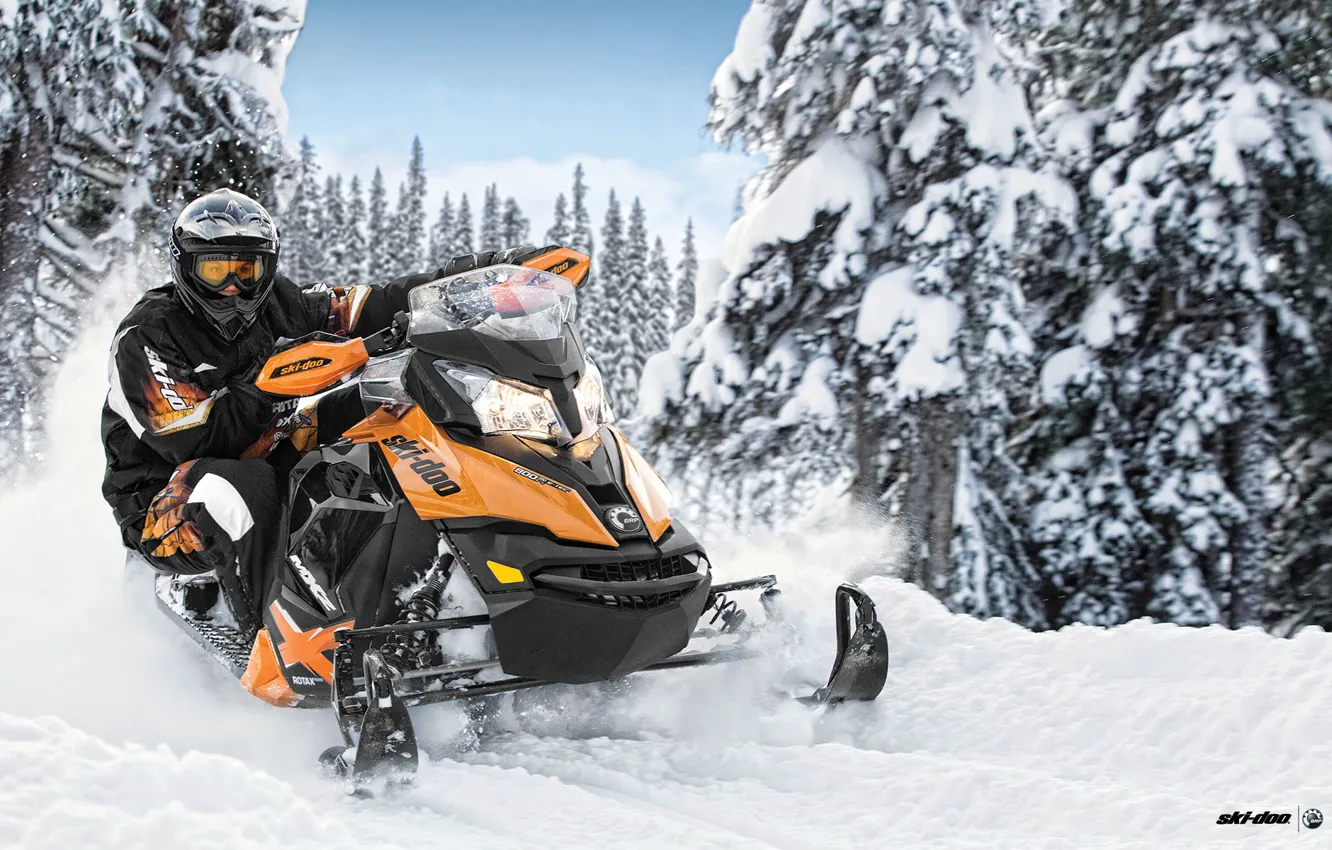 Фото обои Деревья, Снег, Лес, Снегоход, Snowmobile, Ski-Doo