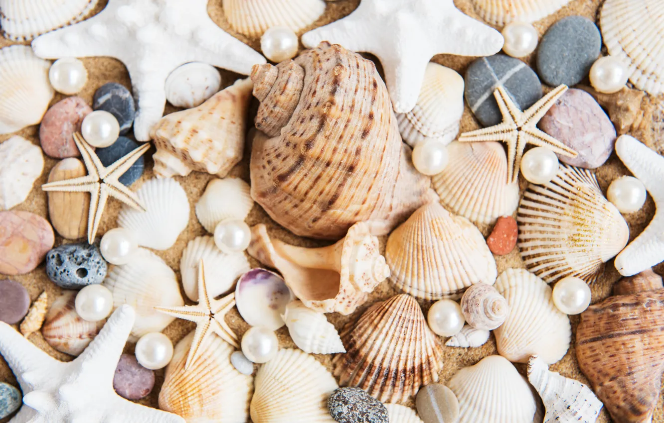 Фото обои песок, пляж, фон, ракушки, beach, texture, background, sand