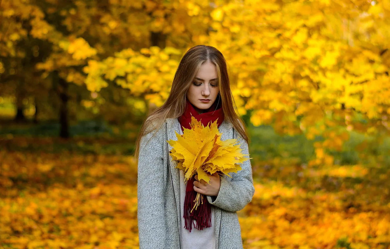 Фото обои осень, листья, девушка, желтый, Фроленко Максим