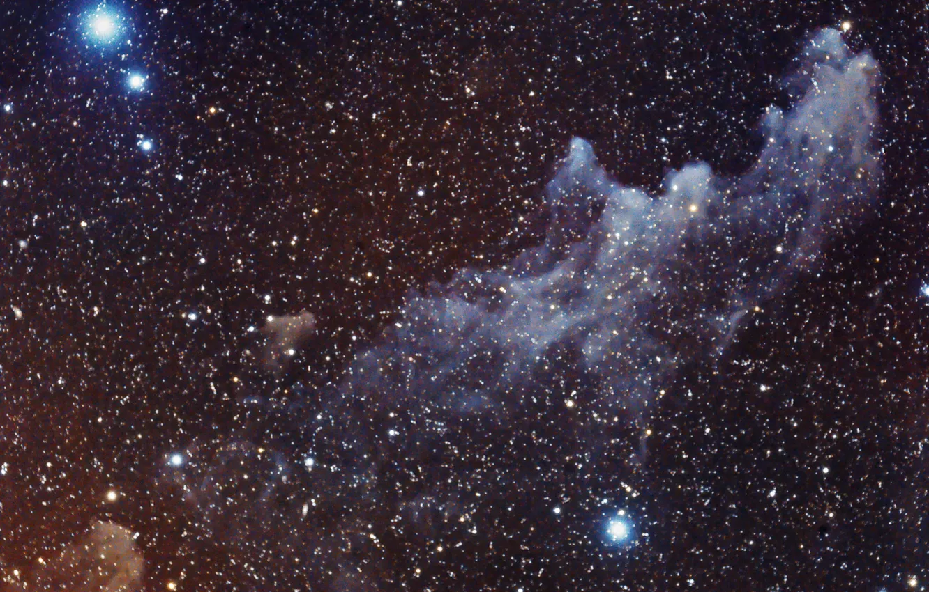 Фото обои туманность, Голова Ведьмы, в созвездии, отражательная, Эридана, IC2118