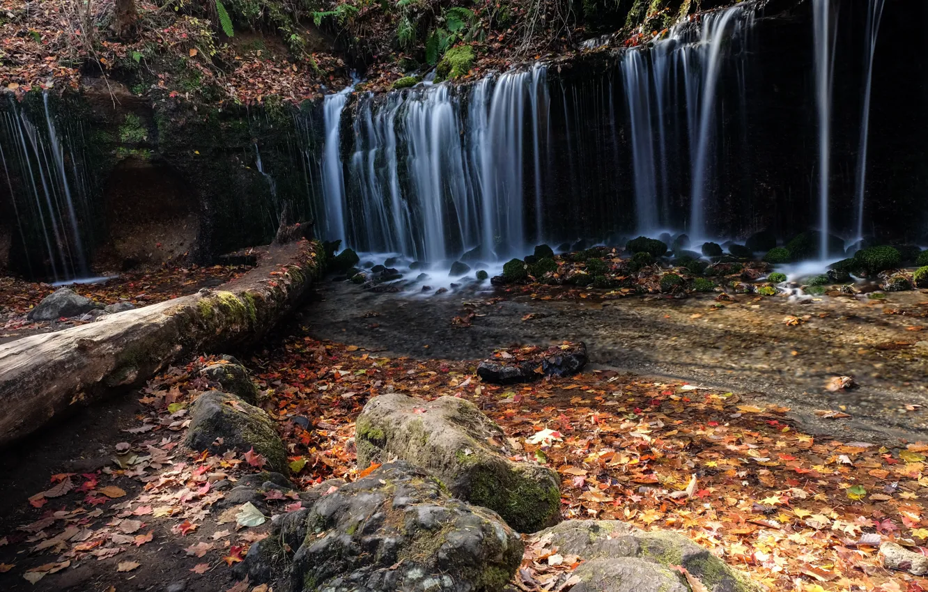 Фото обои осень, листья, деревья, водопад, colorful, forest, nature, autumn