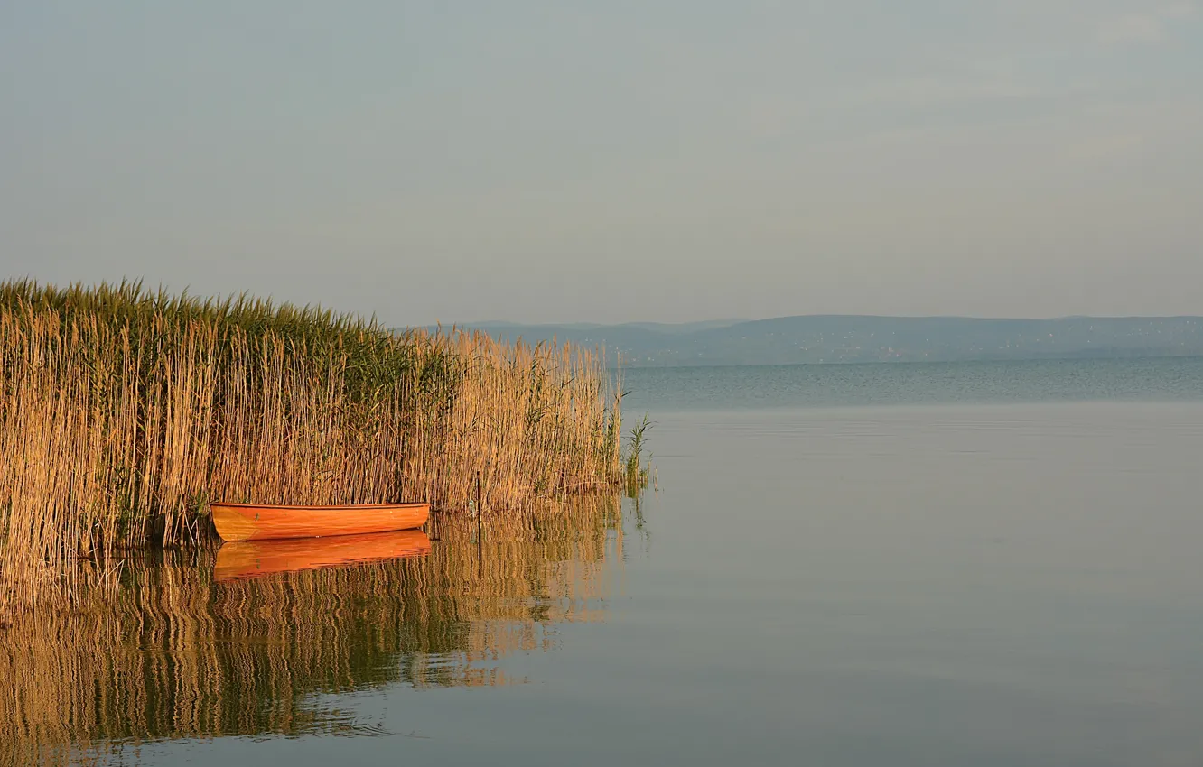 Фото обои Природа, Озеро, Лодка, Nature, Lake, Boat, Камыши