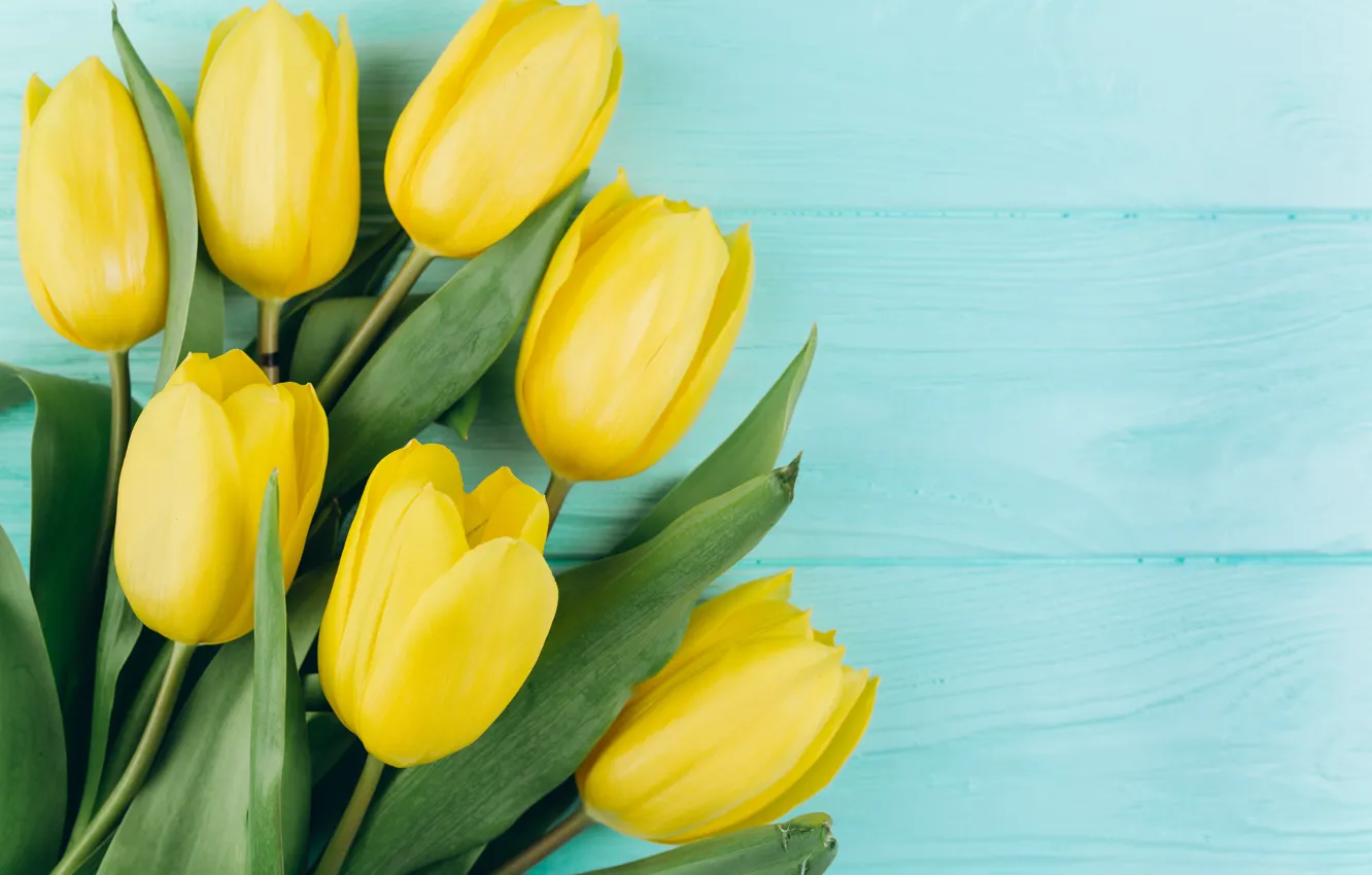 Фото обои цветы, Весна, Тюльпаны, Фон, flowers, Spring, Background, Tulips