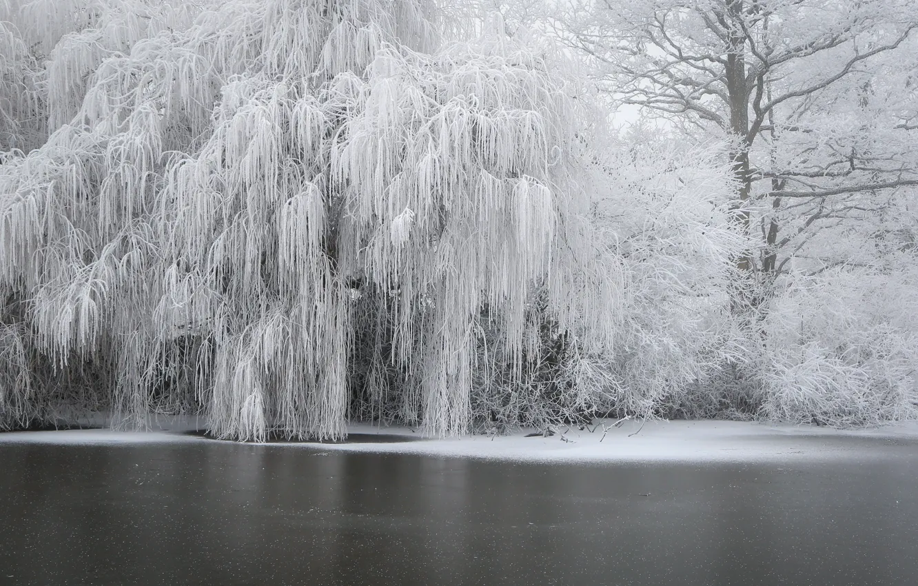 Фото обои зима, иней, река