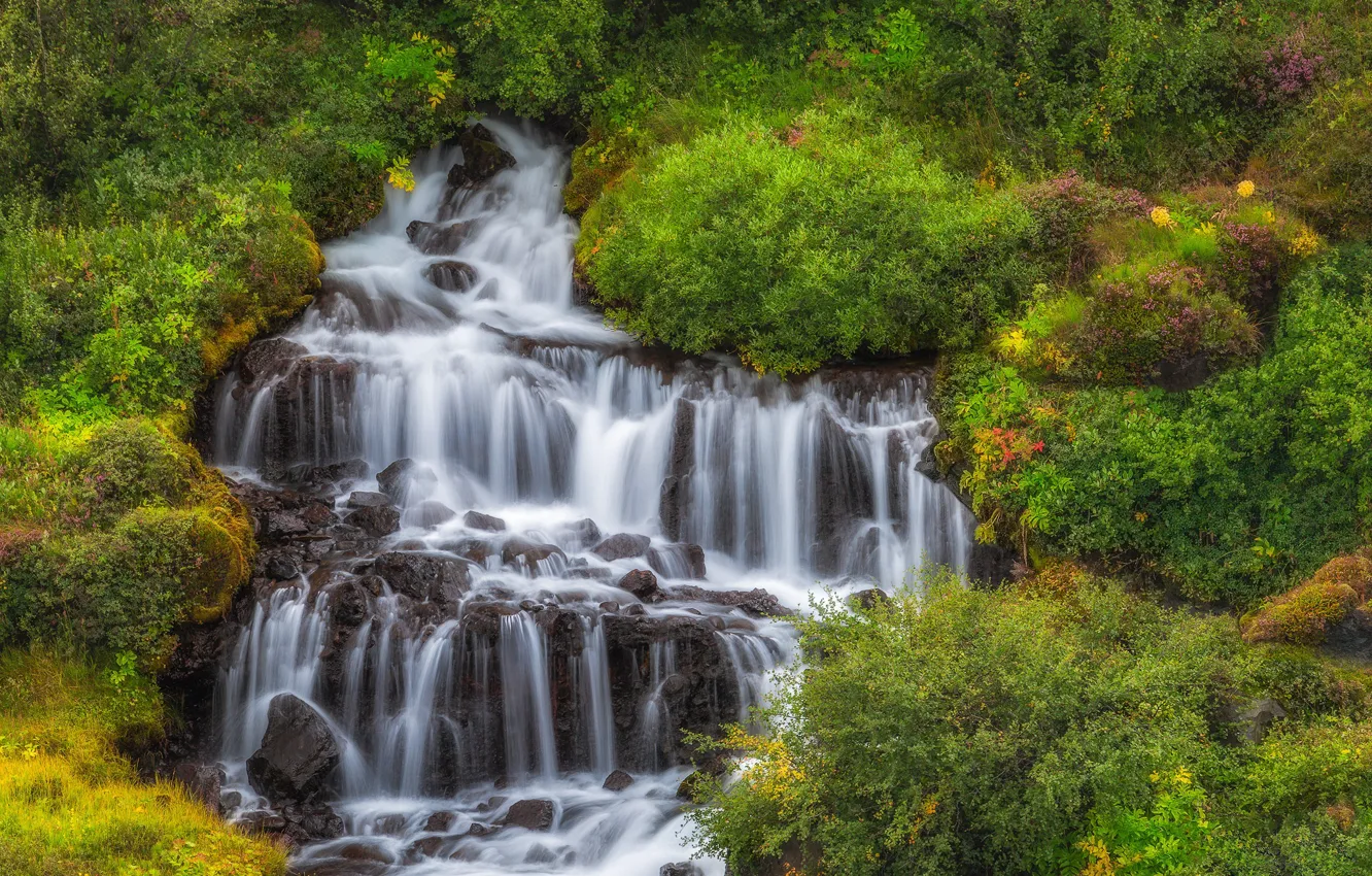 Фото обои водопад, каскад, Исландия, кусты, Iceland, Hraunfossar, Хрёйнфоссар