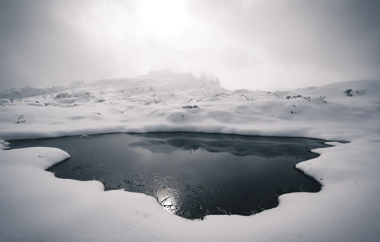Фото обои зима, туман, лёд