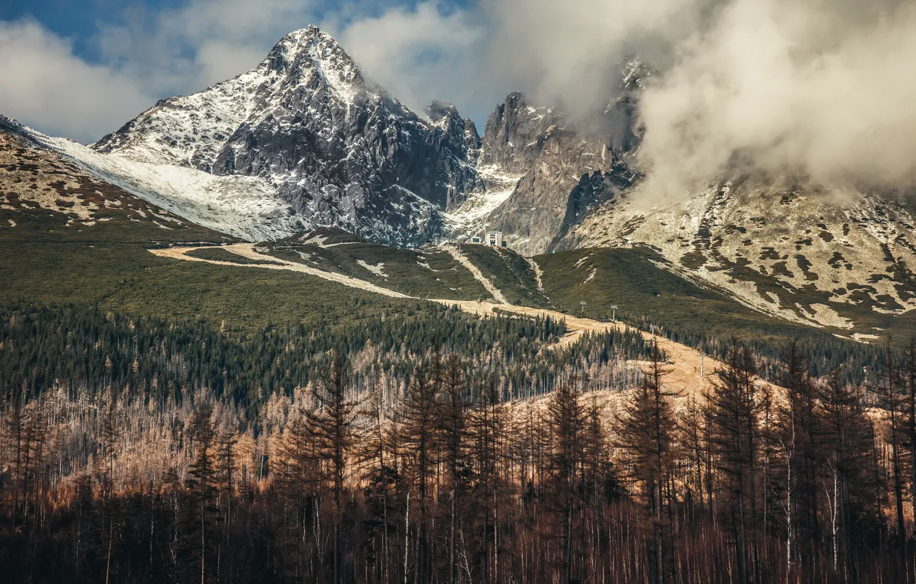 Фото обои лес, горы, Tatry Wysokie