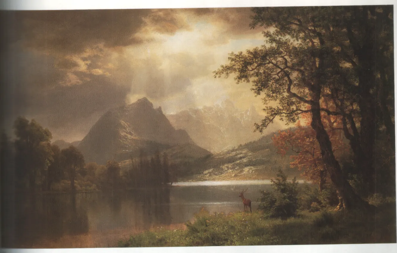 Фото обои Colorado, BIERSTADT, ESTES PARK