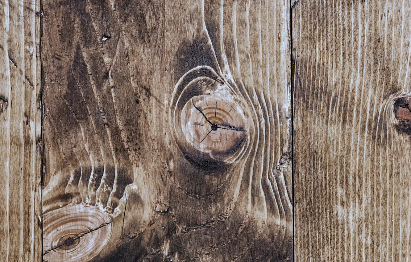 Фото обои текстура, доска, древесина