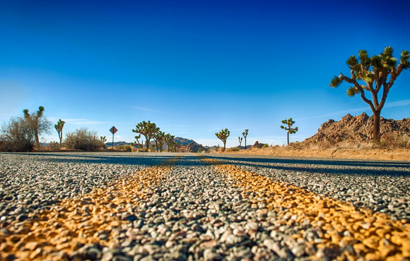 Фото обои road, horizon, Joshua Tree National Park