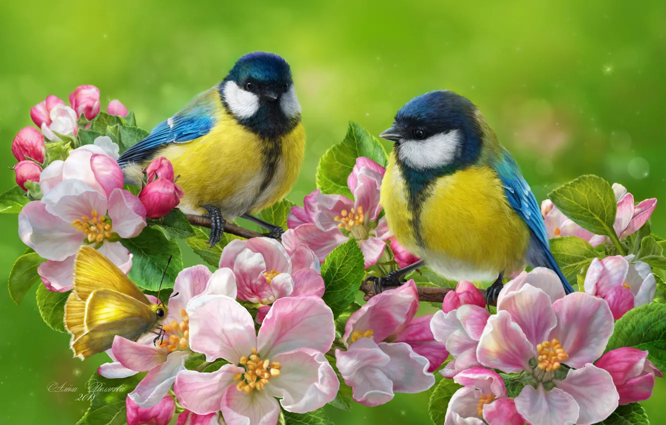 Фото обои птицы, фон, бабочка, фотошоп, весна, парочка, цветение, цветки