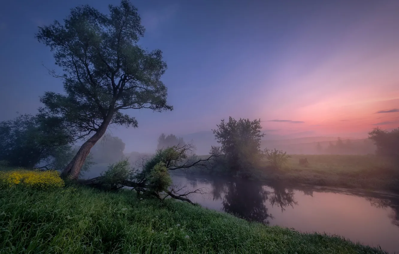 Фото обои пейзаж, природа, туман, река, дерево, рассвет, утро, травы