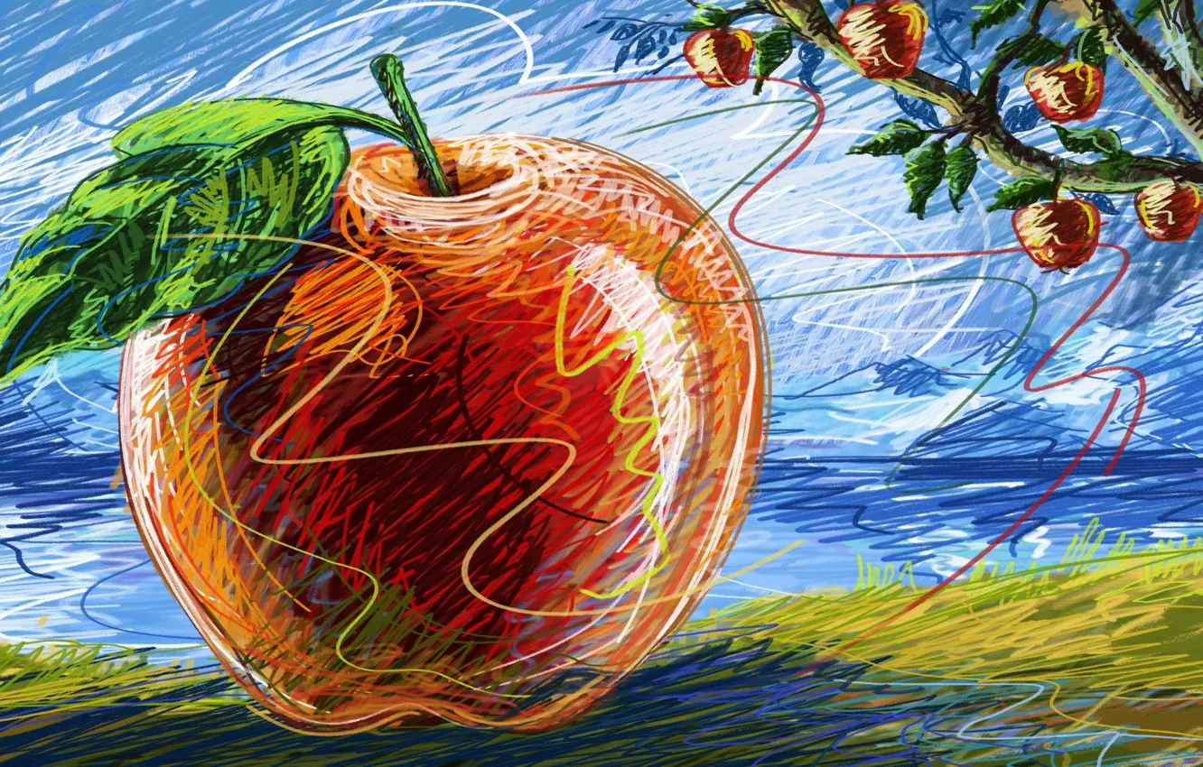 Фото обои макро, дерево, рисунок, яблоко, фрукты, яблоня