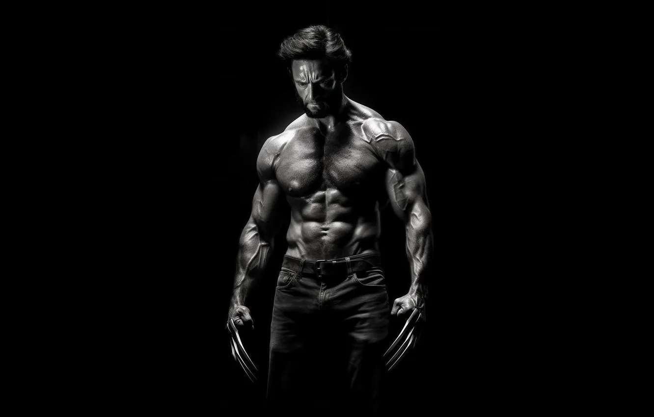 Фото обои weapon, wolverine, unleashed