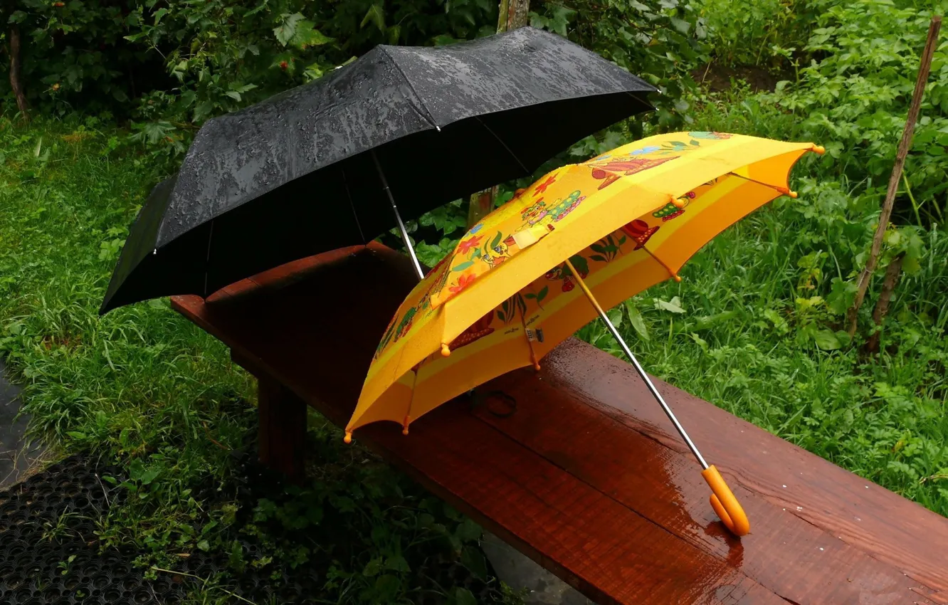 Фото обои скамейка, дождь, зонты