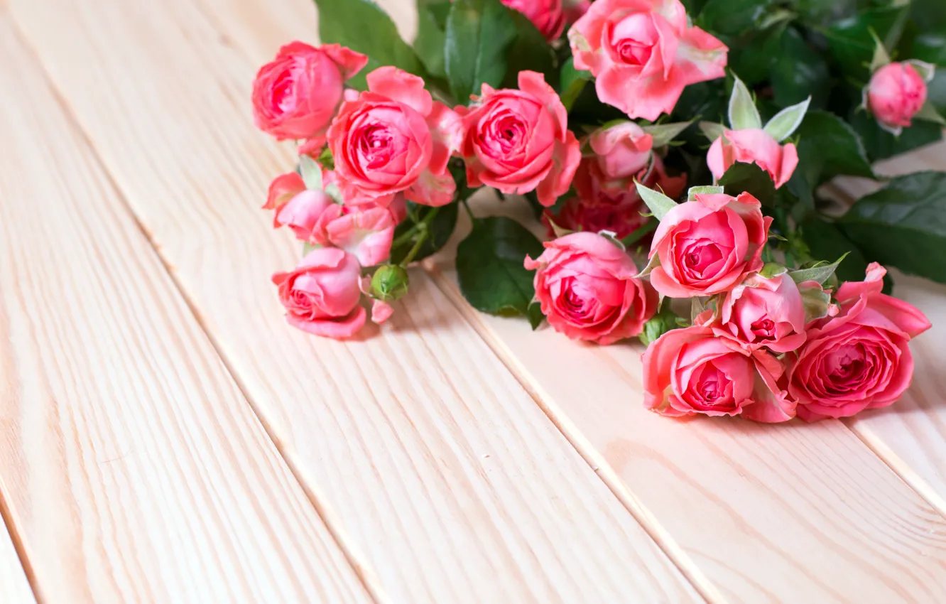 Фото обои розы, букет, розовые, qwartm