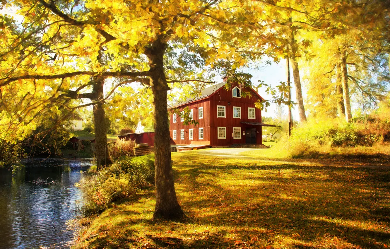 Фото обои осень, деревья, дом, парк, листва, золотая осень
