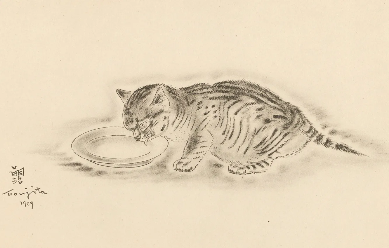 Фото обои кот, молоко, миска, пьёт, 1929, лакает, Цугухару, Фудзита