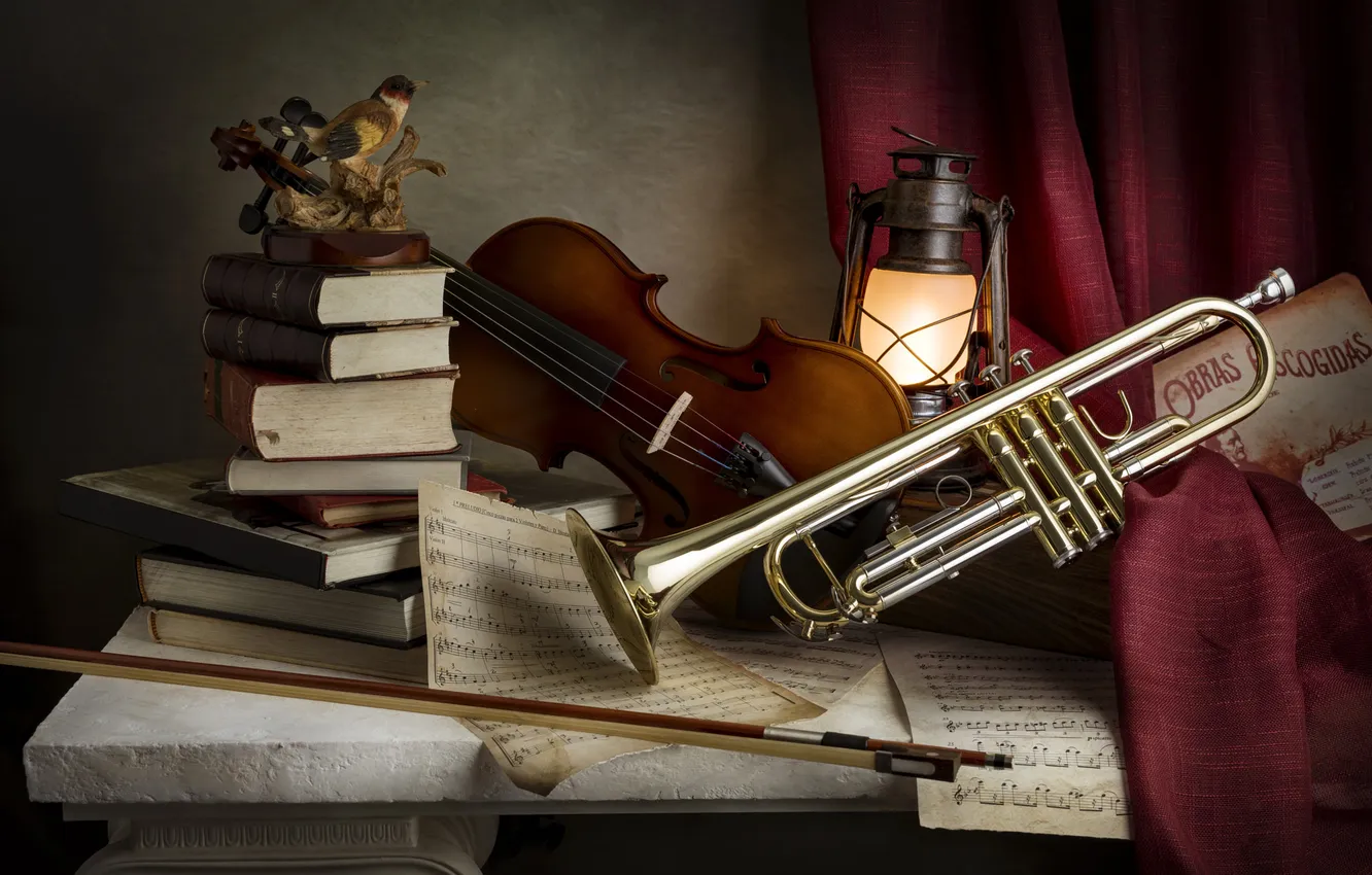 Фото обои музыка, скрипка, книги, труба, натюрморт