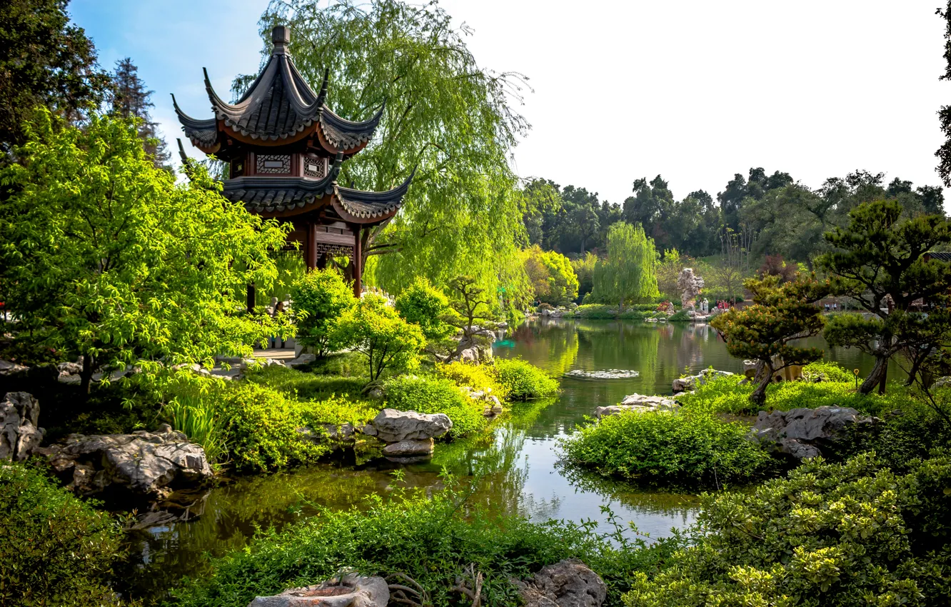 Фото обои зелень, деревья, пруд, парк, камни, Калифорния, пагода, США