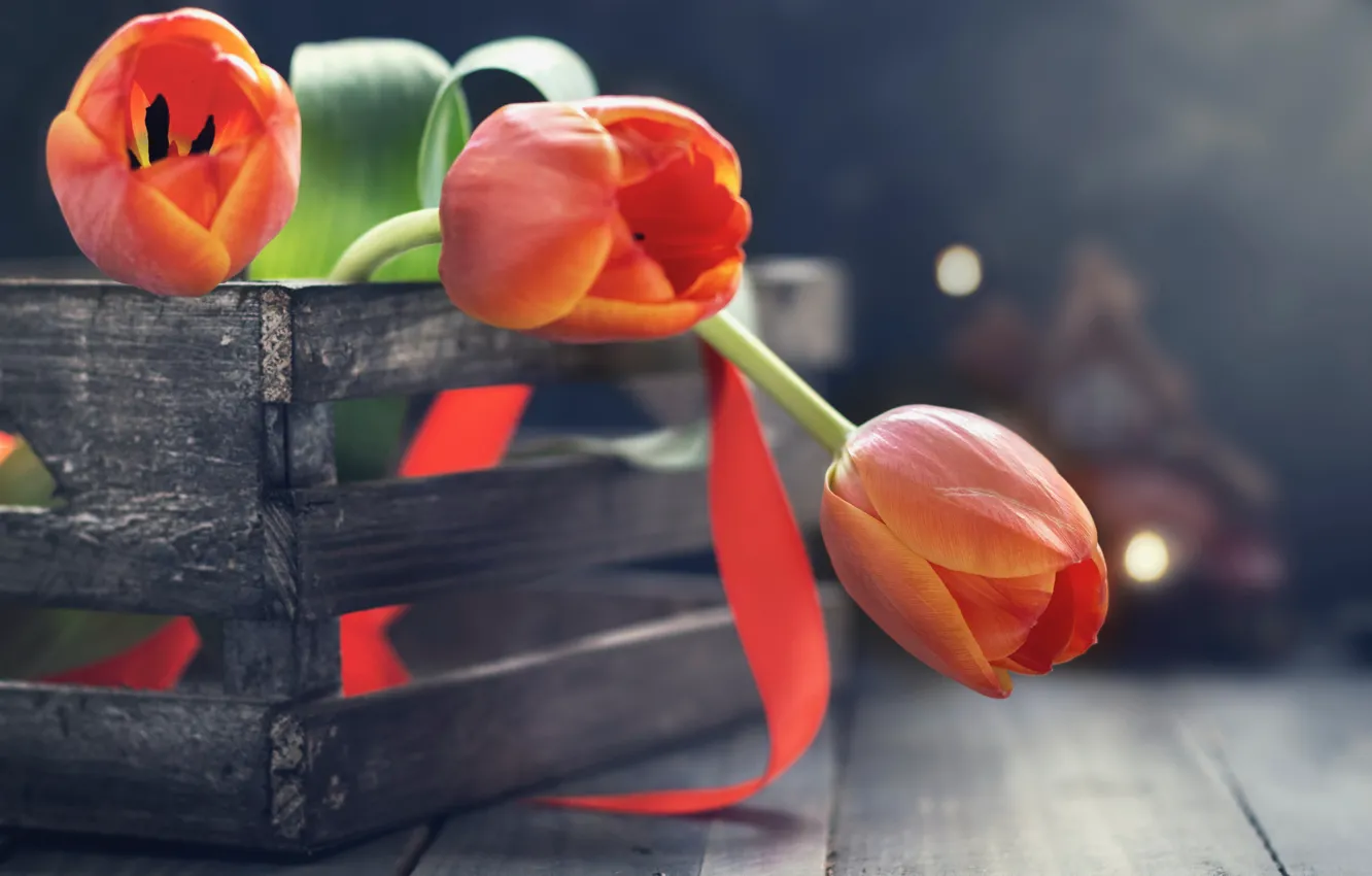 Фото обои цветы, тюльпаны, ящик