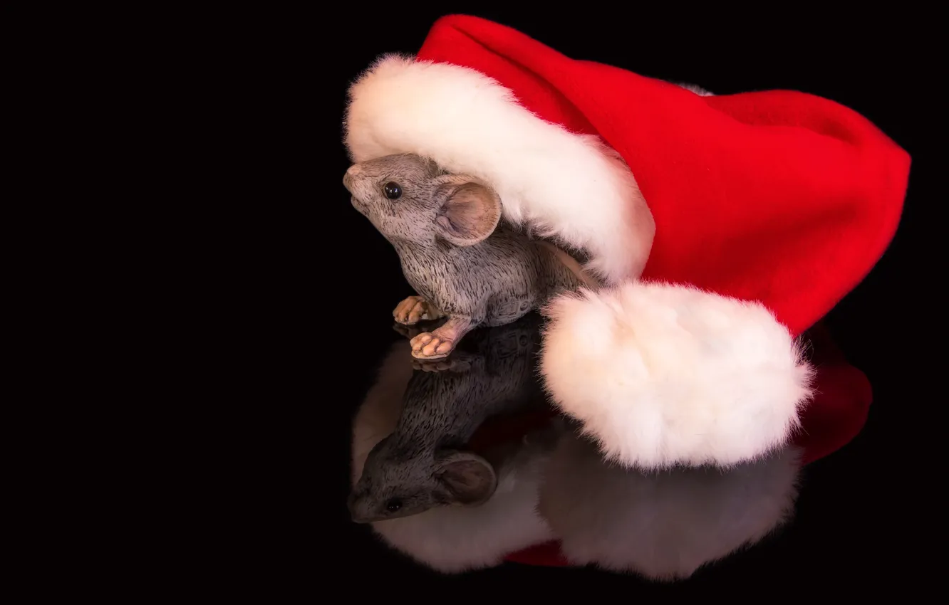 Фото обои отражение, животное, рождество, позитив, мышка, зверек, christmas, черный фон