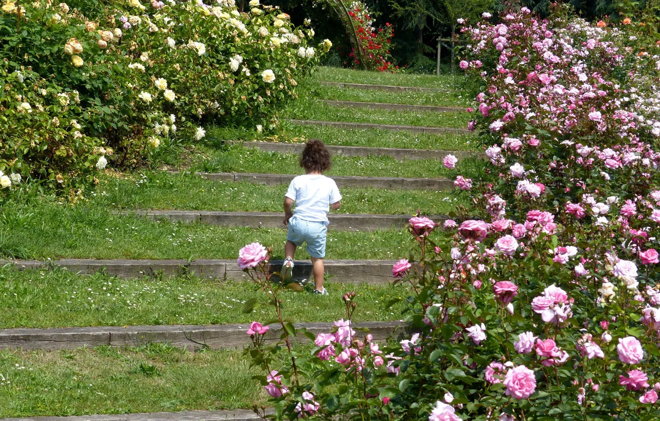 Фото обои парк, розы, девочка