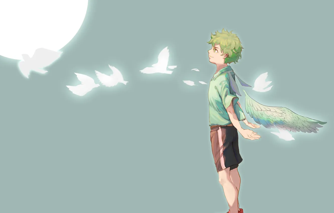 Фото обои птицы, крылья, мальчик, My Hero Academia, Boku No Hero Academia, Мидория Изуку, Моя Геройская Академия