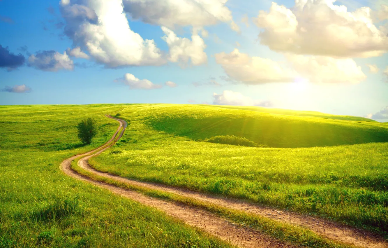 Фото обои дорога, лето, небо, трава, солнце, облака, пейзаж, просёлочная
