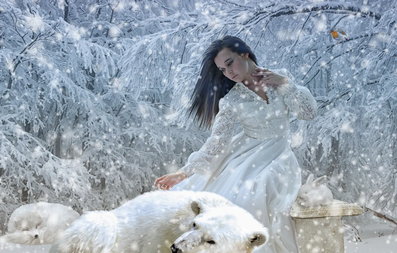 Фото обои зима, девушка, снег, деревья, кролик, медведь, лиса, белый медведь