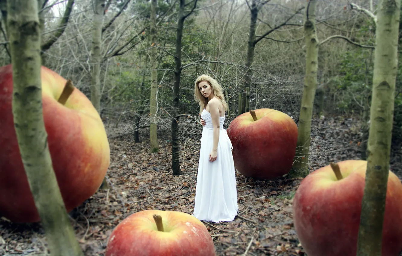 Фото обои лес, девушка, яблоки