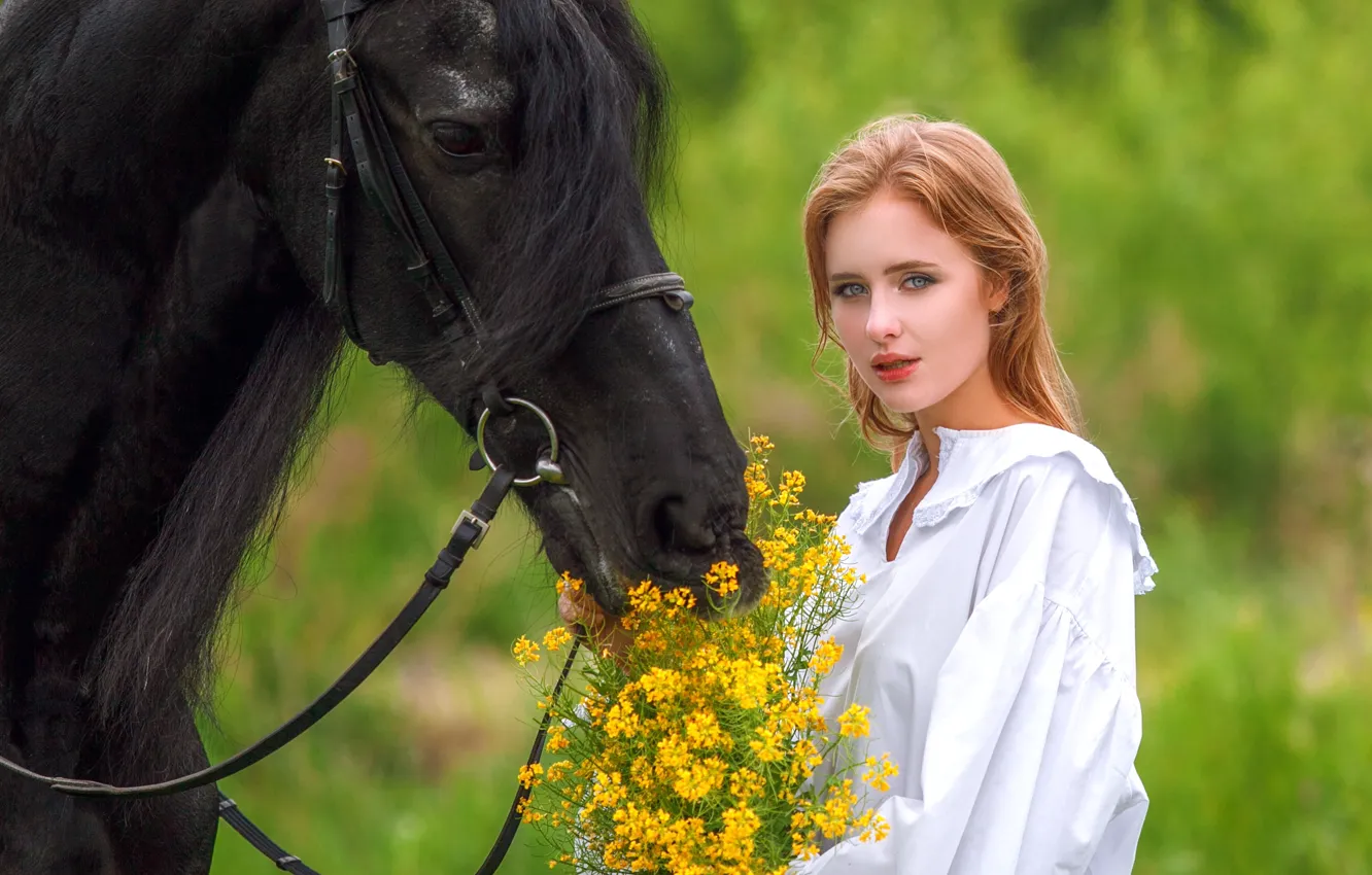 Фото обои взгляд, девушка, цветы, лицо, фон, конь, лошадь, Ki Te