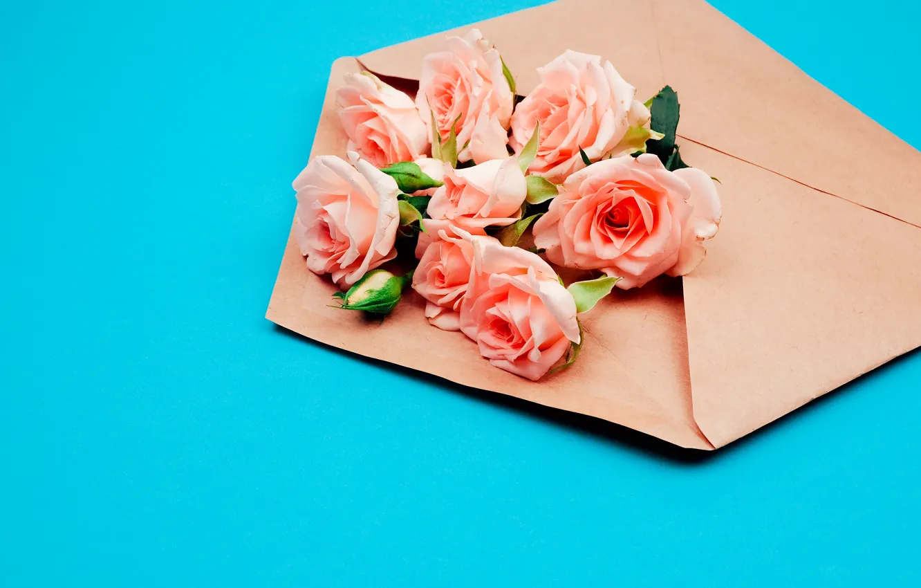Фото обои цветы, розы, конверт