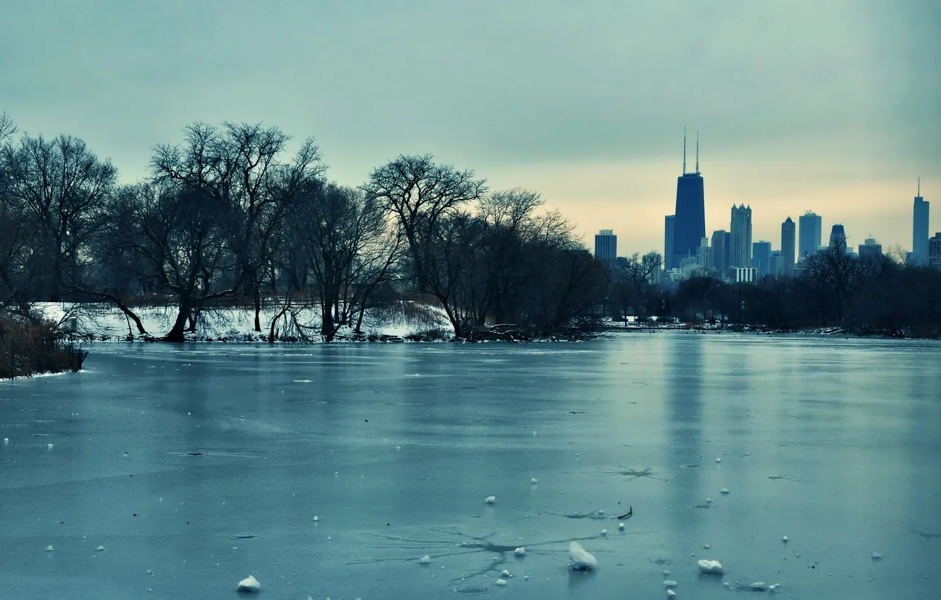 Фото обои зима, снег, деревья, лёд, небоскребы, USA, чикаго, Chicago