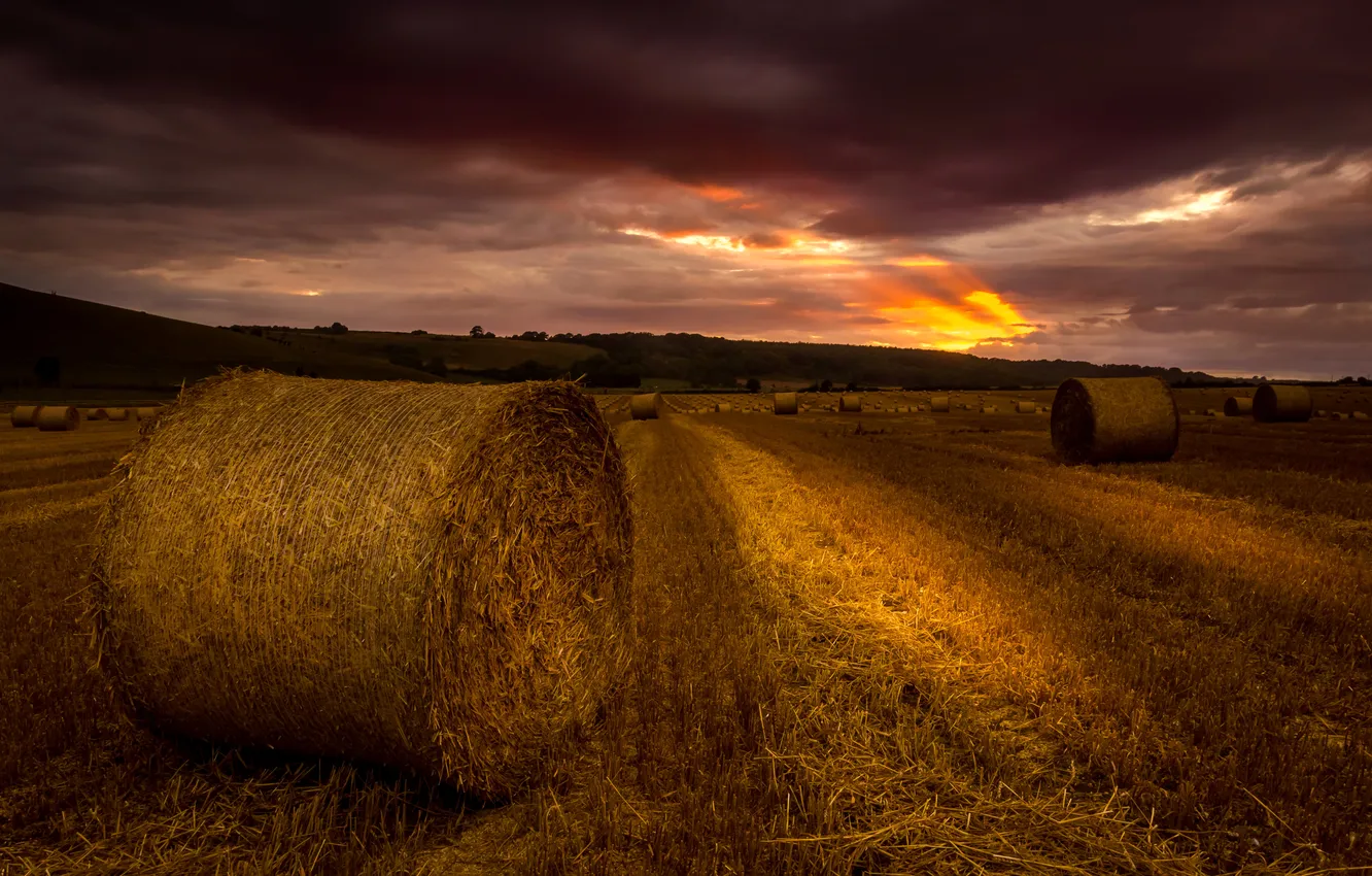 Фото обои поле, закат, вечер, стог, сено