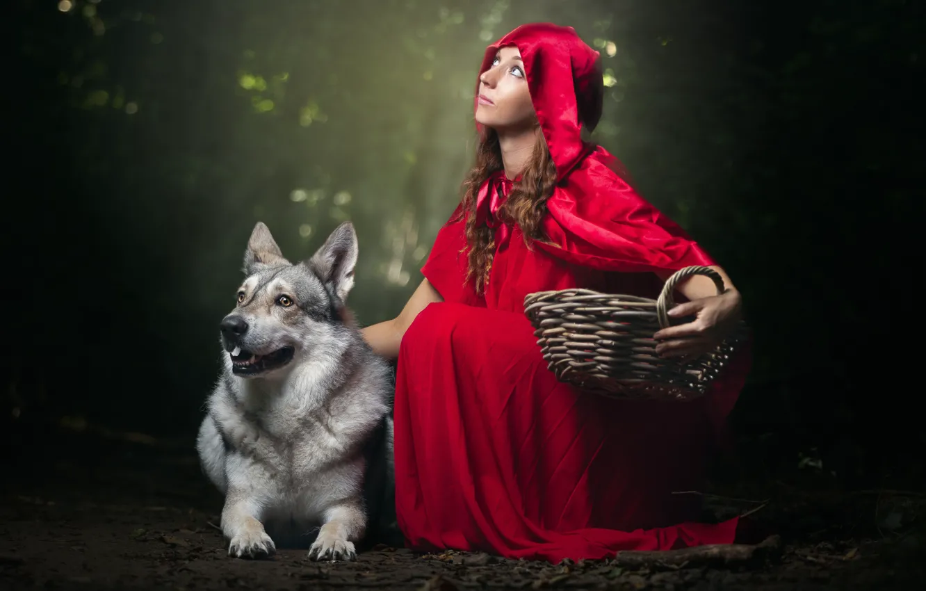 Фото обои девушка, собака, капюшон, плащ, корзинка, Красная Шапочка и Серый Волк