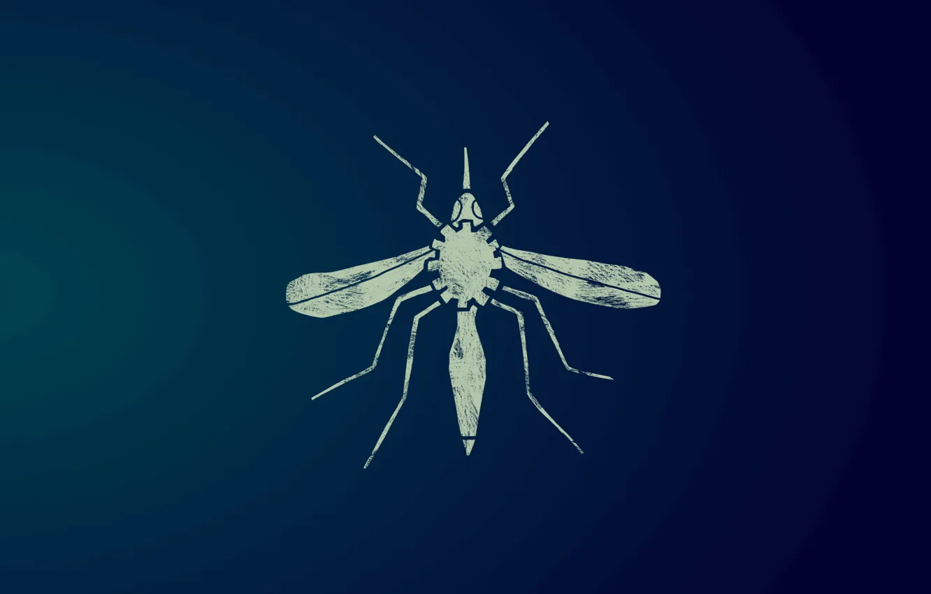 Фото обои Microsoft, насекомое, комар, Premonition