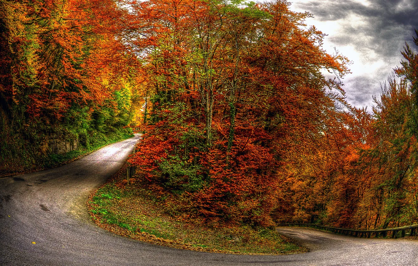 Фото обои осень, лес, небо, облака, деревья, пейзаж, природа, дороги