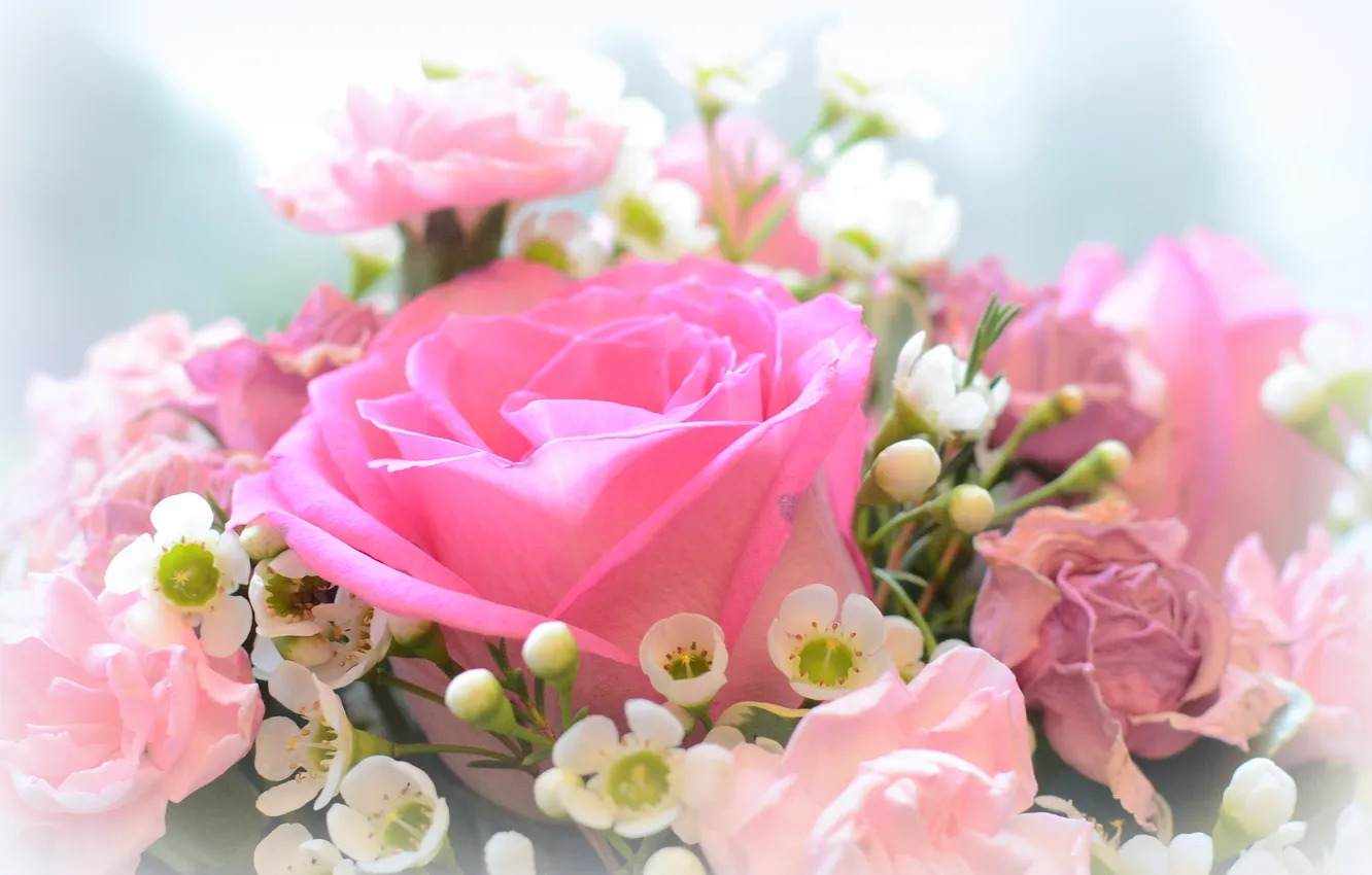 Фото обои розы, букет, размытость, розовые
