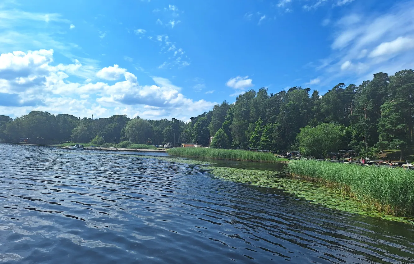 Фото обои Lakes in Latvia, Latvia wallpapers, Ķīšezers Latvijas, Mežaparks Latvijas, Forests in Latvia